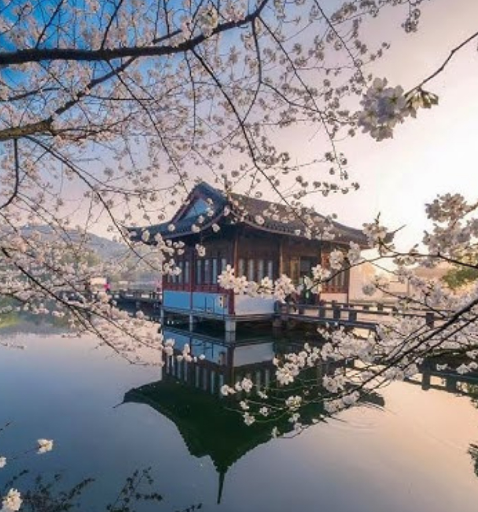 Voyage Chine-mai 2026