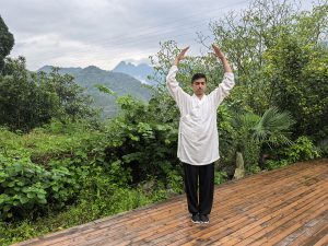 STAGE DE QI GONG DU FOIE