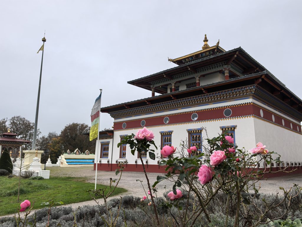 stage de qi gong résidentiel