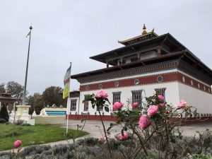 stage de qi gong résidentiel
