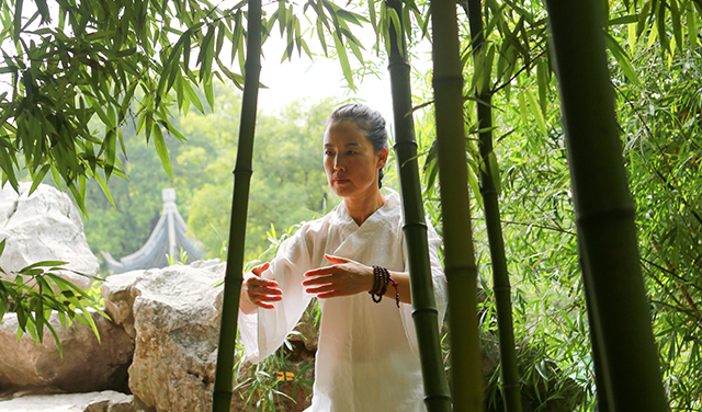 STAGE DE ZHI NENG QI GONG novembre 2026
